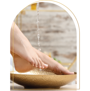 nh shapes website-23