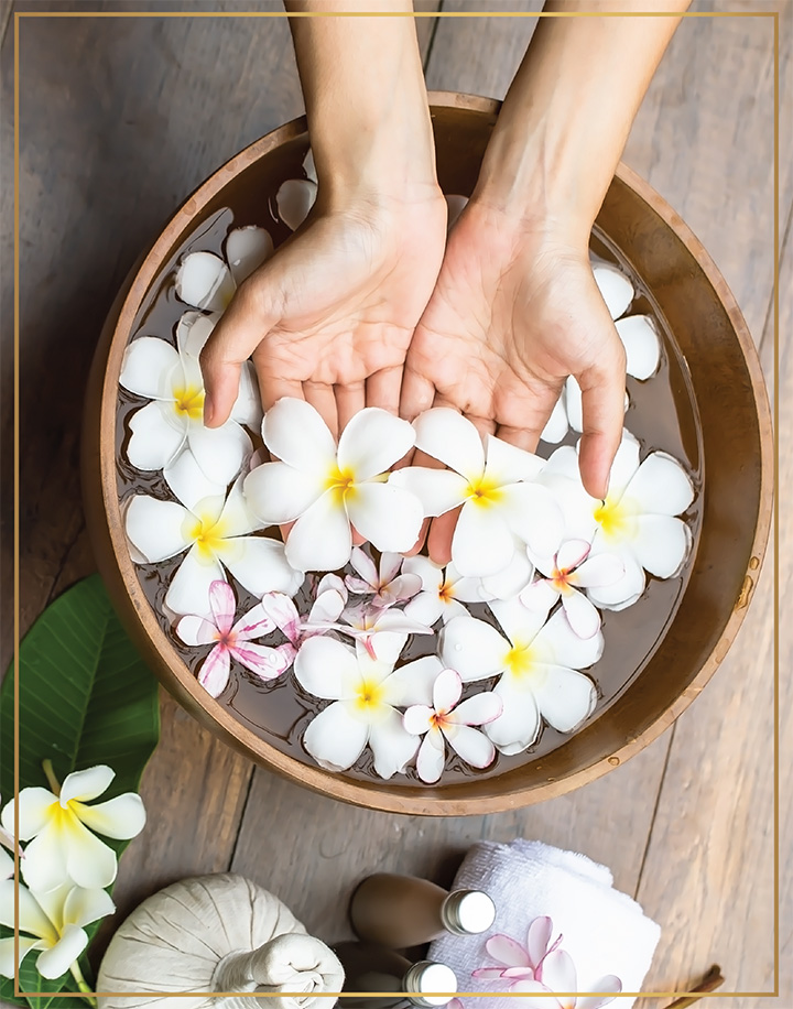 north hills nail spa website-01